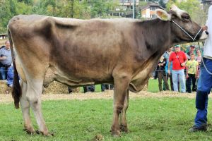 141011Nidwalden 143